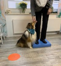 Balancetraining mit Seniorin